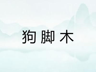 狗脚木