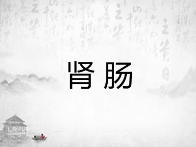 肾肠