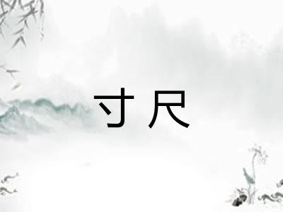 寸尺