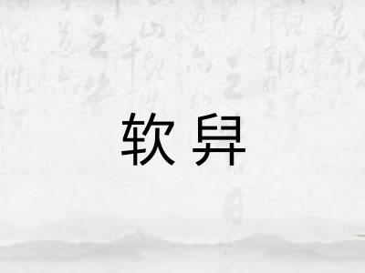 软舁
