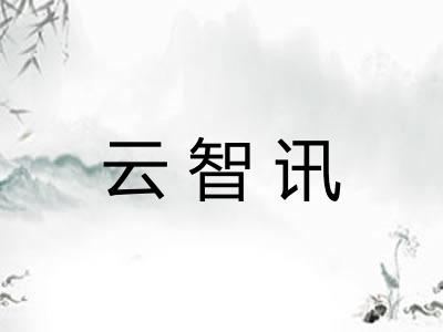 云智讯