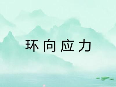 环向应力