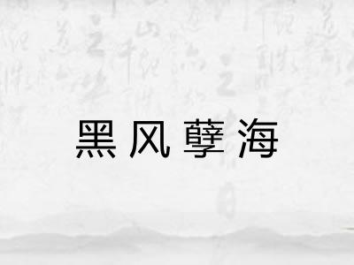 黑风孽海