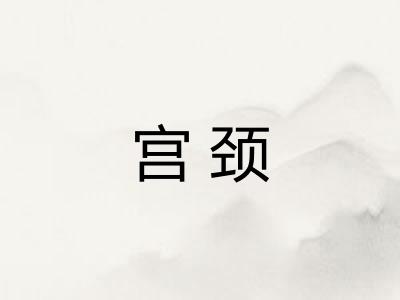 宫颈