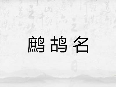 鹧鸪名