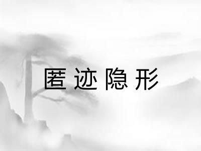 匿迹隐形