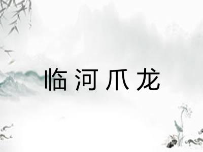 临河爪龙