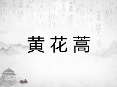 黄花蒿 黄花蒿