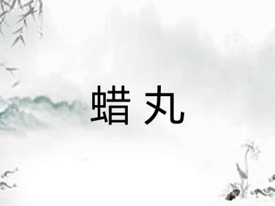 蜡丸