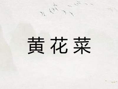 黄花菜 黄花菜