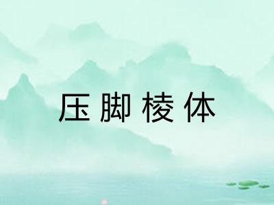 压脚棱体