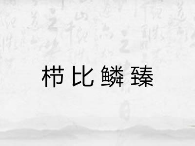 栉比鳞臻