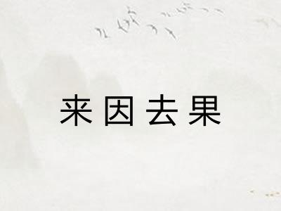 来因去果