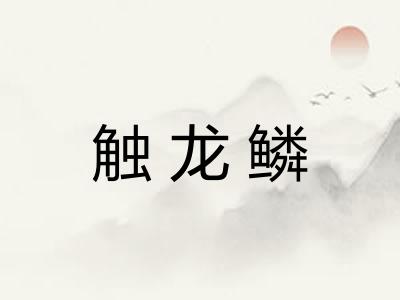 触龙鳞