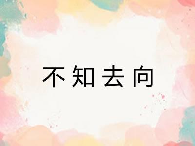 不知去向