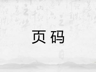 页码