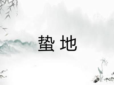 蛰地