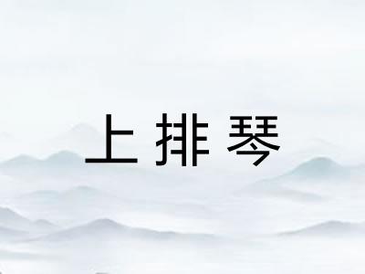 上排琴
