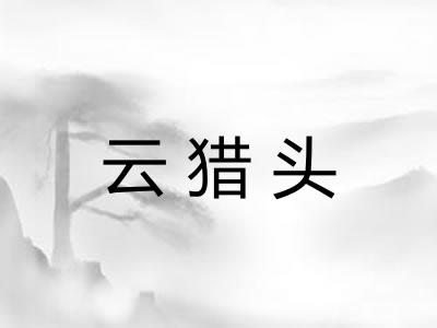 云猎头
