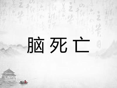 脑死亡