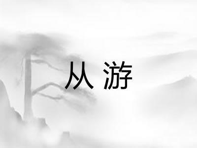 从游