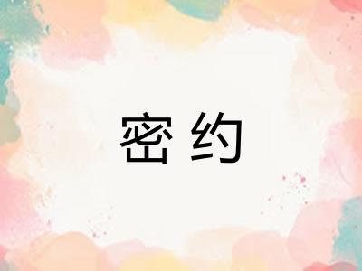 密约 密约