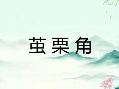 茧栗角