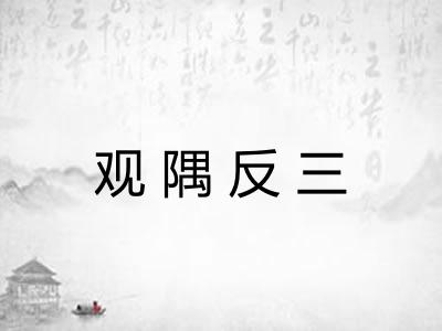 观隅反三