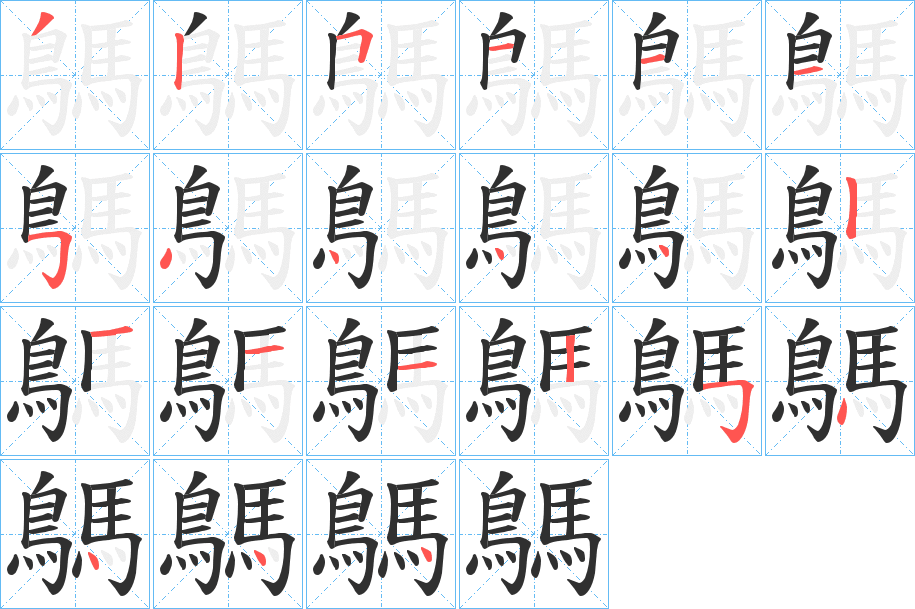 鷌的笔顺分步演示图